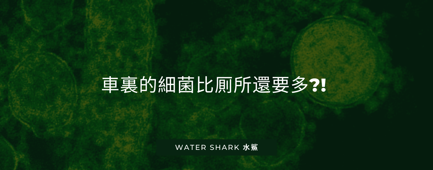 車裏的細菌比厠所還要多？！處理不好隨時致命？！